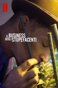 Il Business degli Stupefacenti