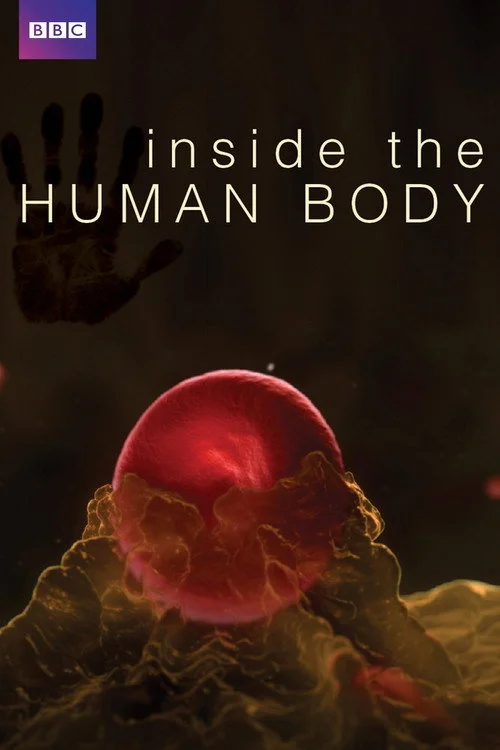 Dentro il corpo umano