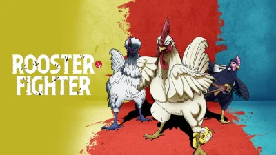 Rooster Fighter