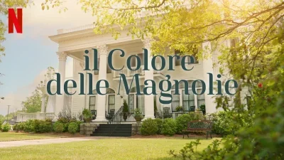 Il colore delle magnolie
